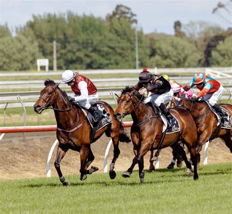 horse racing results nz today.